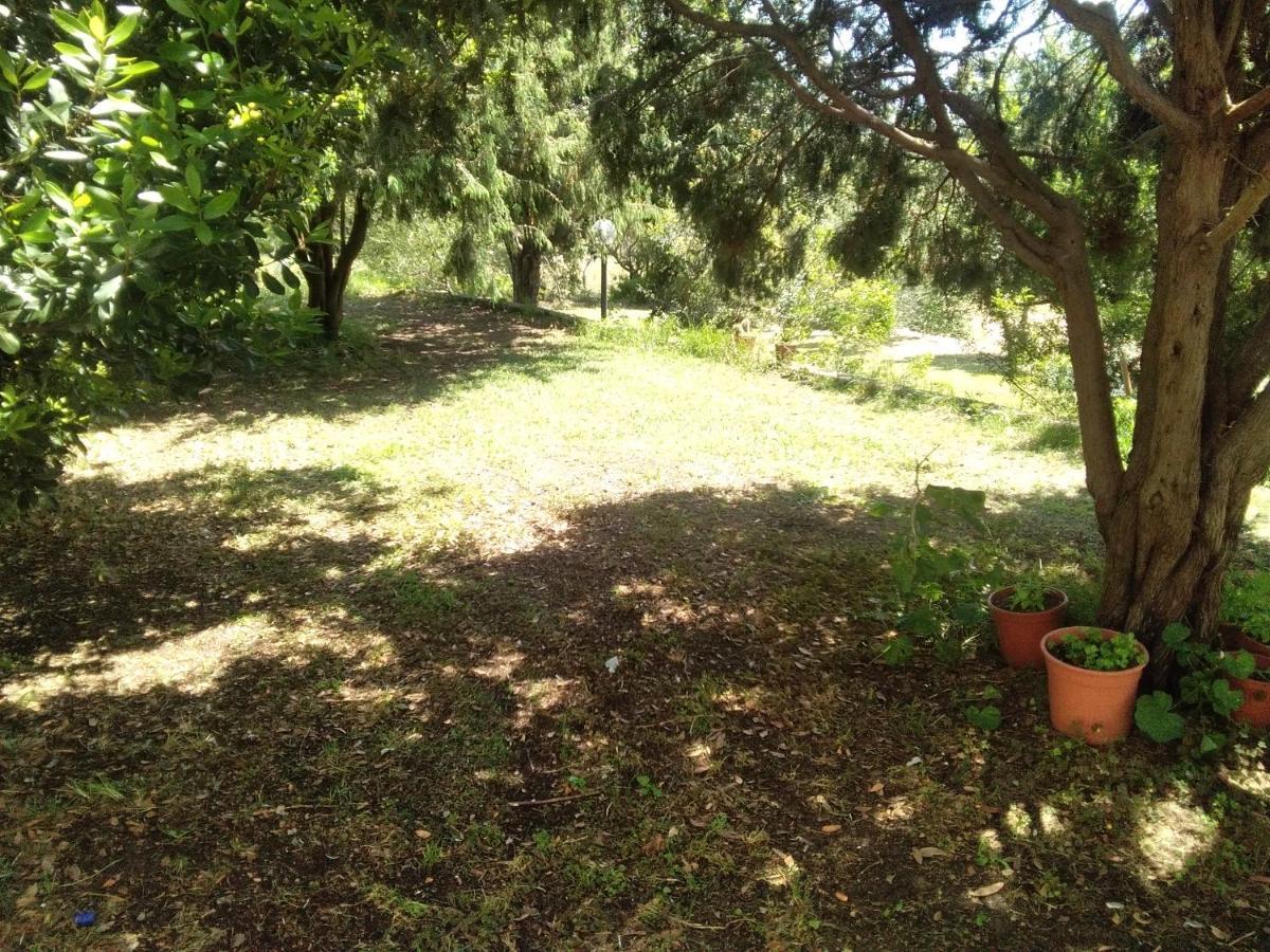 أولبيا B&B Daillu المظهر الخارجي الصورة