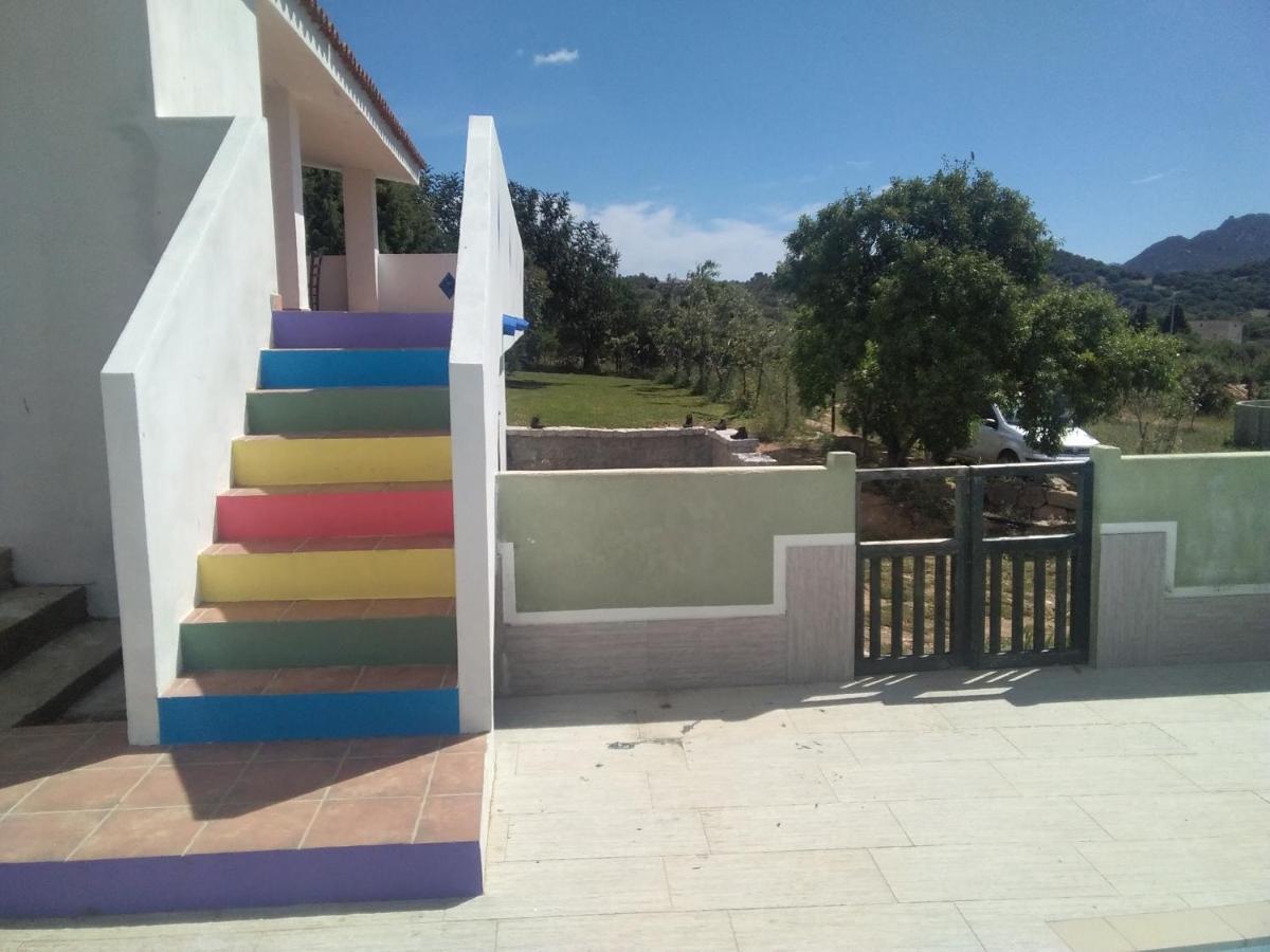 أولبيا B&B Daillu المظهر الخارجي الصورة